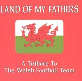 Land of My Fathers: A Tribute to the Welsh Football Team