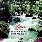 Sounds of Nature: A Sun Filled Stream