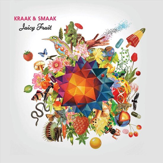 Kraak & Smaak Juicy Fruit albumcover met collage van dieren, fruit en bloemen rond een ster.