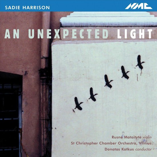Harrison: An Unexpected Light
