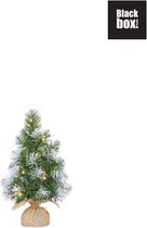 Black Box Trees - Norton kerstboom met burlap  led werkt op batterijen groen frosted 10L TIPS 25 - h30xd15cm - Kerstbomen