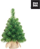 Black Box Trees - Norton deluxe kerstboom met burlap groen TIPS 50 - h45xd20cm- Kerstbomen