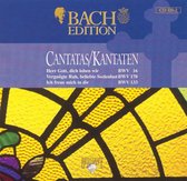 Bach Edition: Cantatas BWV 16, BWV 170, BWV 133
