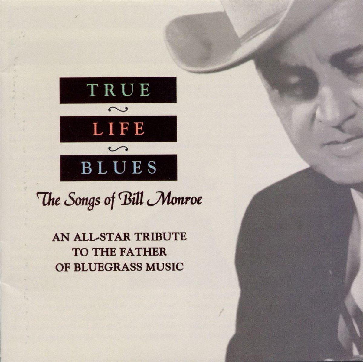 True Life Blues: The Song