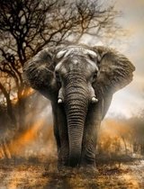 Diamond Painting - Hobby pakket - Diamond painting volwassenen - Grote afrikaanse olifant 40x30cm - Ronde steentjes - Volledig pakket