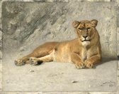 Schilderij - Jan van Essen, Rustende Leeuwin, 80x60cm.  1885