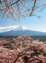 Fotobehang - Mount Fuji in Japan 192x260cm - Vliesbehang