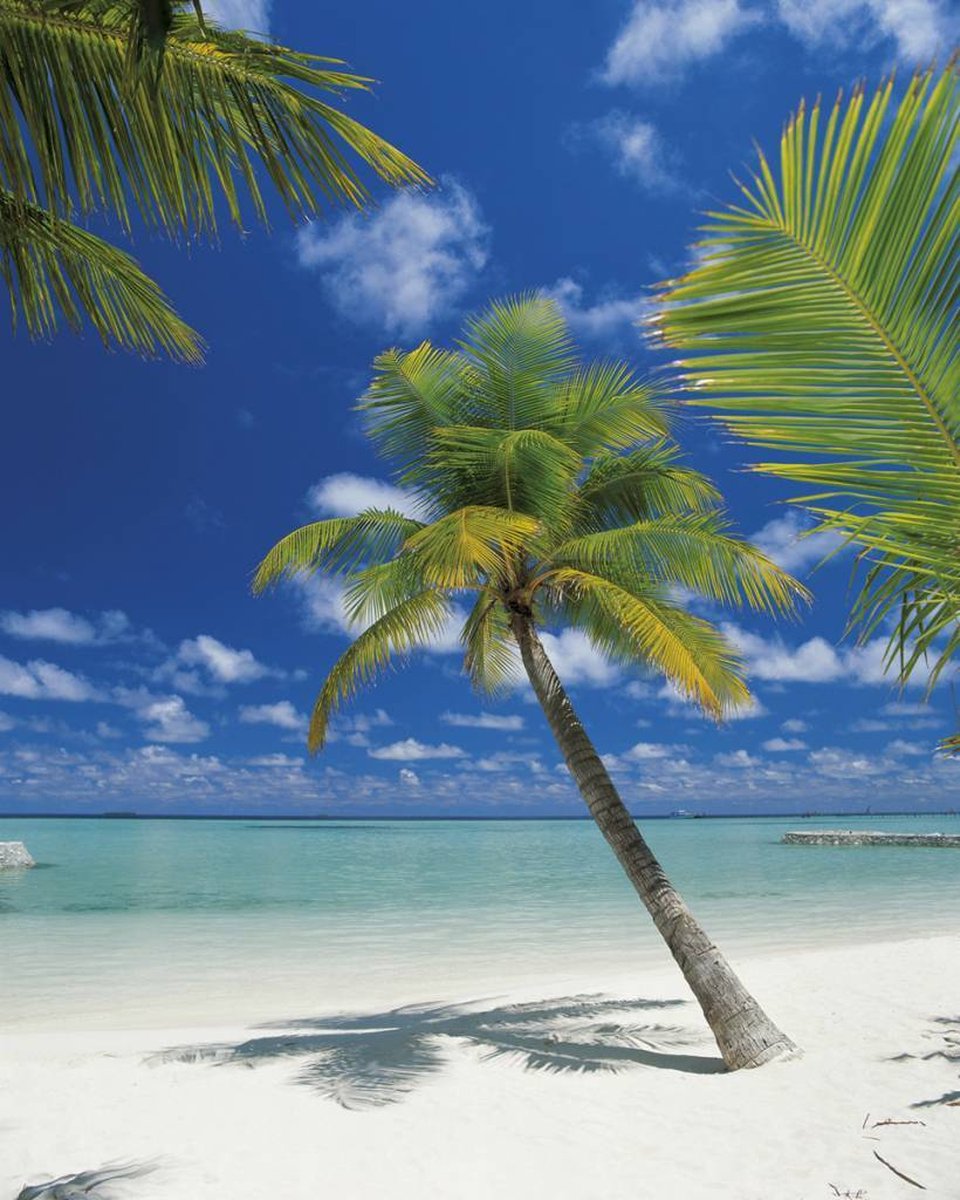 Fotobehang Ari Atoll Groot