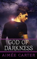 The Goddess Test Novels - God of Darkness