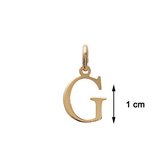 Blinx Jewels Vergulden Hanger Letter G