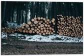Dibond - Opgestapeld hout in het Bos - 60x40cm Foto op Aluminium (Met Ophangsysteem)
