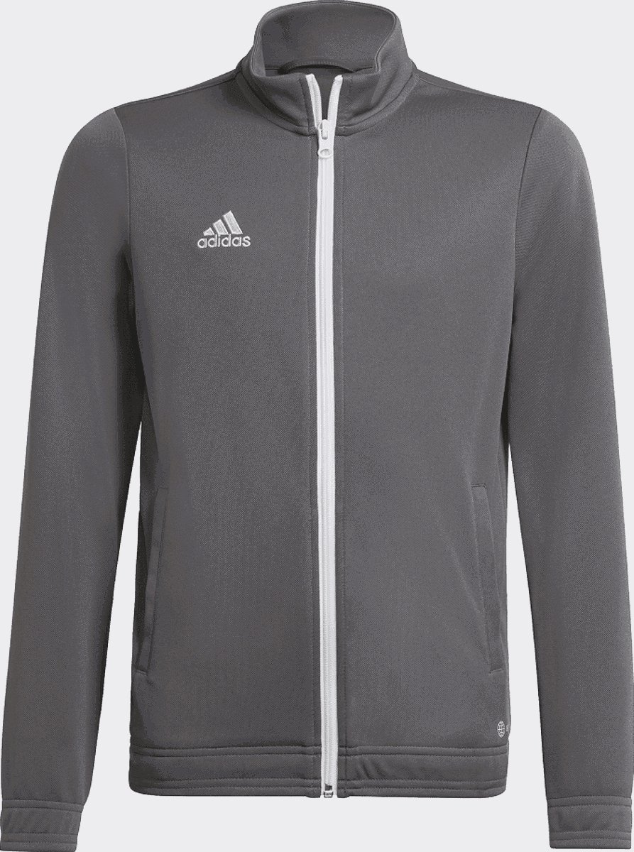 adidas Performance Entrada 22 Trainingsjack - Kinderen - Grijs- 164