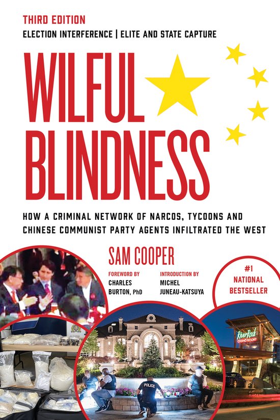 Wilful Blindness - cover