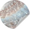 Coquillages - Mer