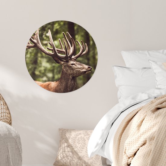 WallCircle® - Cercle de papier peint 80x80 cm - Stickers muraux Cerf - Nature - Bois - Forêt - Animaux - Cercle mural salon - Cercle mural chambre - Décoration murale autocollante - Accessoires de Décoration murale