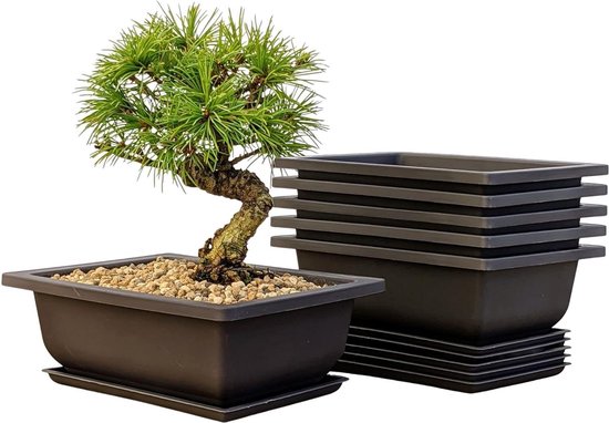 Kafei Bonsai Trainingspotten - 10 Stuks Met Dienblad, Kunststof, 16,5x12x6 Cm, Imitatie Paars Zand, Voor Vetplanten & Cactussen