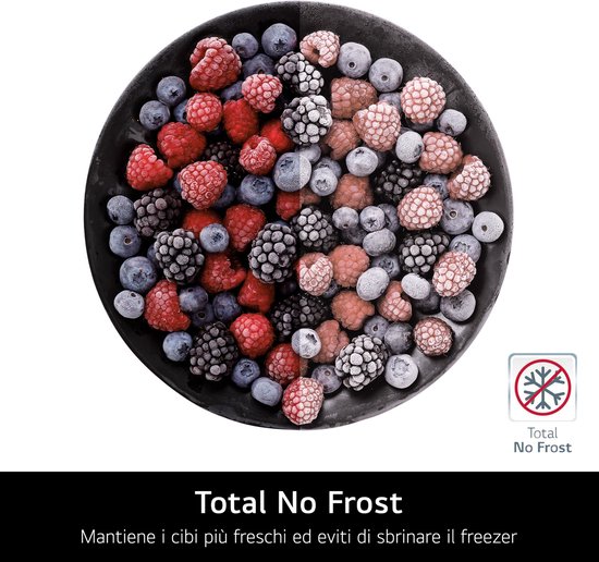 Zwart bord gevuld met bevroren bosbessen, bramen en frambozen, met een 'Total No Frost' icoon.
