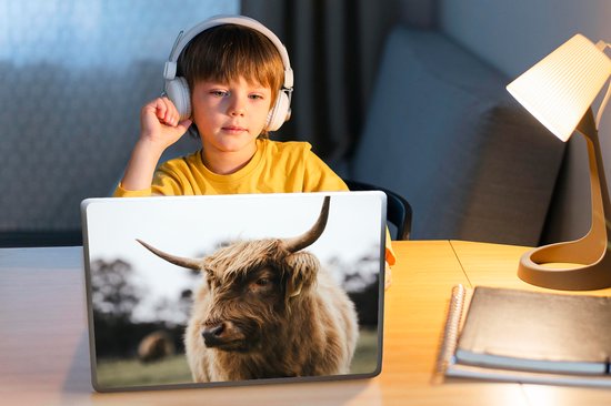 Autocollant pour ordinateur portable - 10,1 pouces - Highlander écossais - Animaux - Cornes - 25x18cm - Autocollants pour ordinateur portable - Peau pour ordinateur portable - Couverture