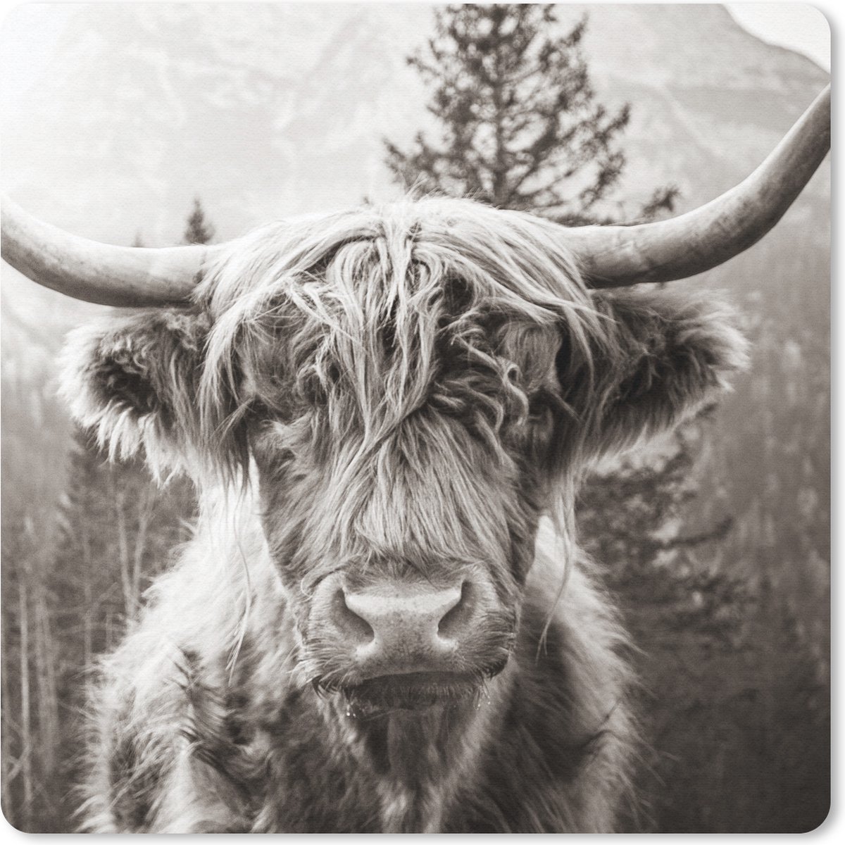 Muismat 20x20 cm - Mousepad Schotse hooglander - Koe - Dieren - Zwart - Wit - Muismatten
