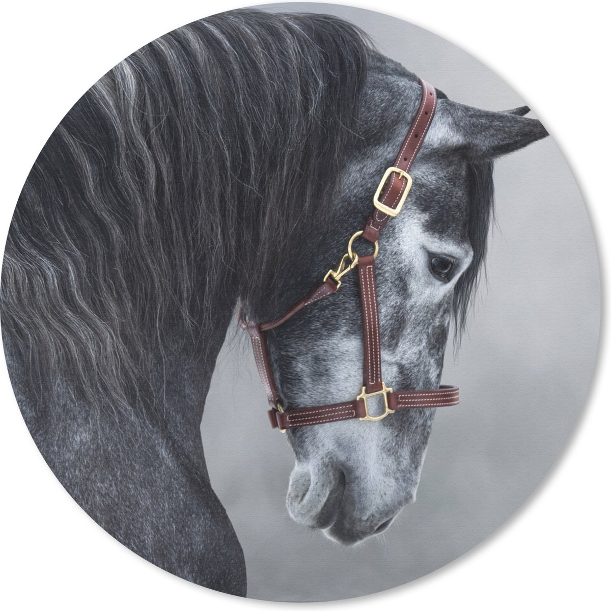 Muismat rond 40x40 cm - Mousepad Paard - Grijs - Bruin - Dieren - Rook - Ronde muismatten