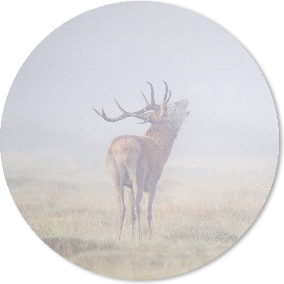 Muismat rond 50x50 cm - Mousepad Hert - Gras - Mist - Ronde muismatten