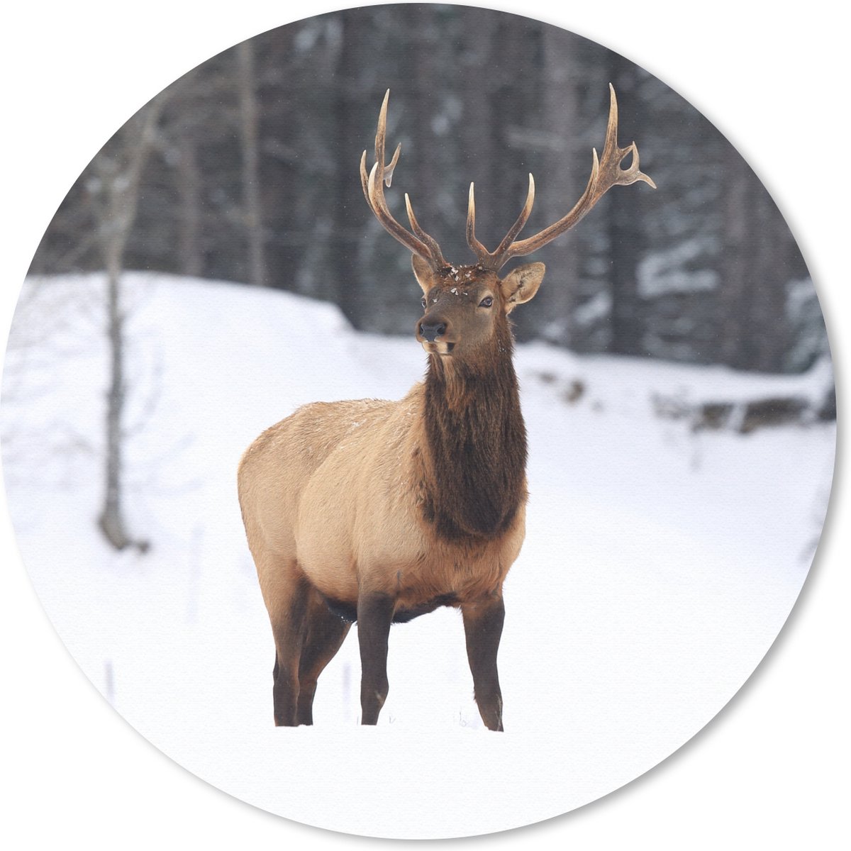 Muismat rond 40x40 cm - Mousepad Hert - Sneeuw - Winter - Ronde muismatten