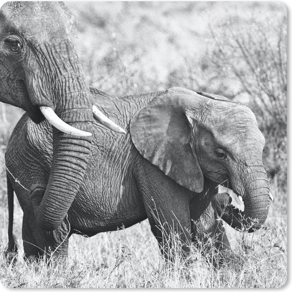 Muismat 20x20 cm - Mousepad Olifant - Dieren - Gras - Zwart wit - Muismatten