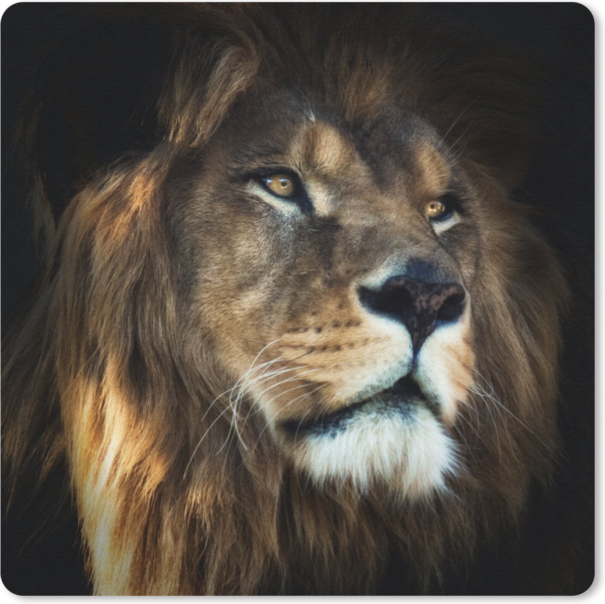 Muismat 20x20 cm - Mousepad Leeuw - Vacht - Zwart - Muismatten