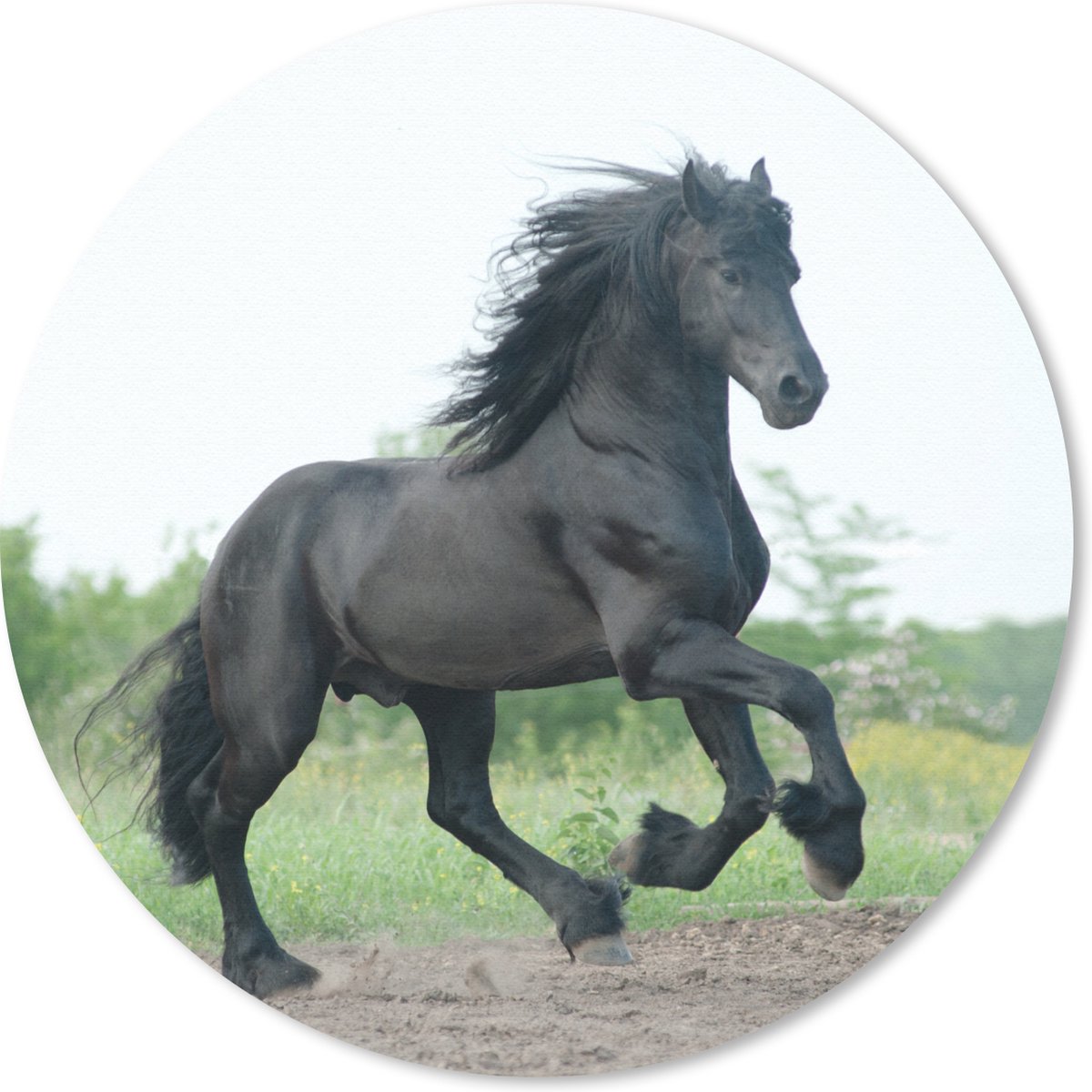 Muismat rond 20x20 cm - Mousepad Paard - Zwart - Natuur - Ronde muismatten