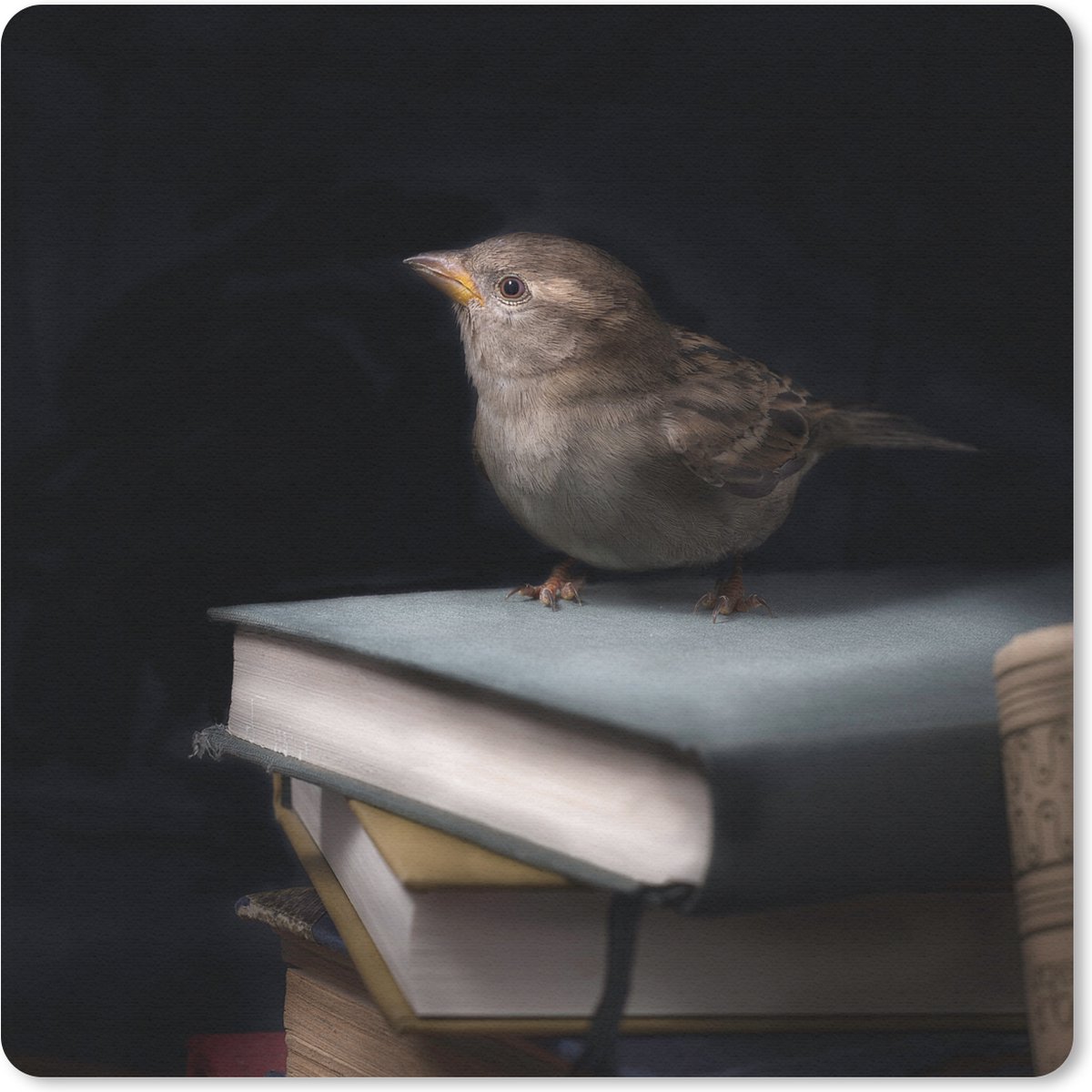 Muismat 30x30 cm - Mousepad Vogel - Boeken - Portret - Muismatten