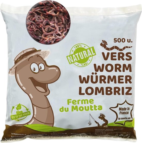 Compostwormen
