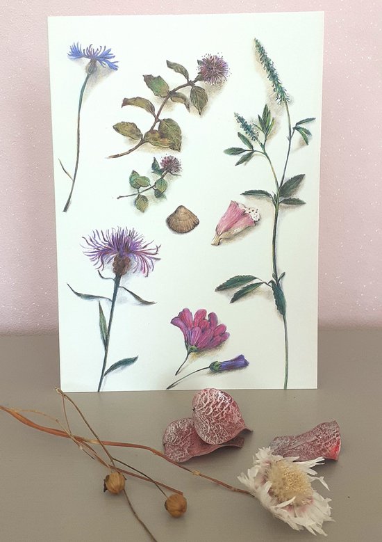 Set botanische planten en bloemen kaarten - 16 dubbele gevouwen kaarten met bijpassende gekleurde enveloppen