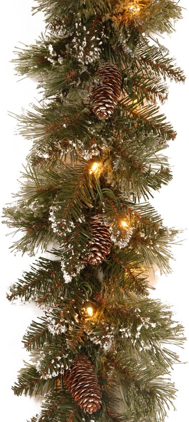 Garland Met 50 LED Lampjes