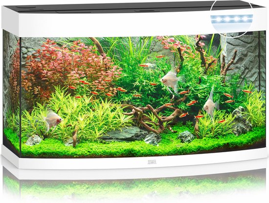 Juwel Aquarium Vision 180 Led 92x41x55 cm - Aquaria - Wit Ca. 180 L