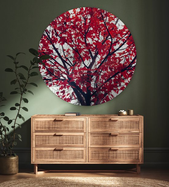 WallCircle - Wall Circle - Wall Circle Indoor - Esdoorn - Feuilles - Automne - Nature - 120x120 cm - Décoration murale - Peintures Ronds XXL
