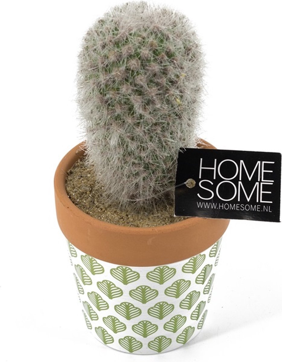 Vetplant