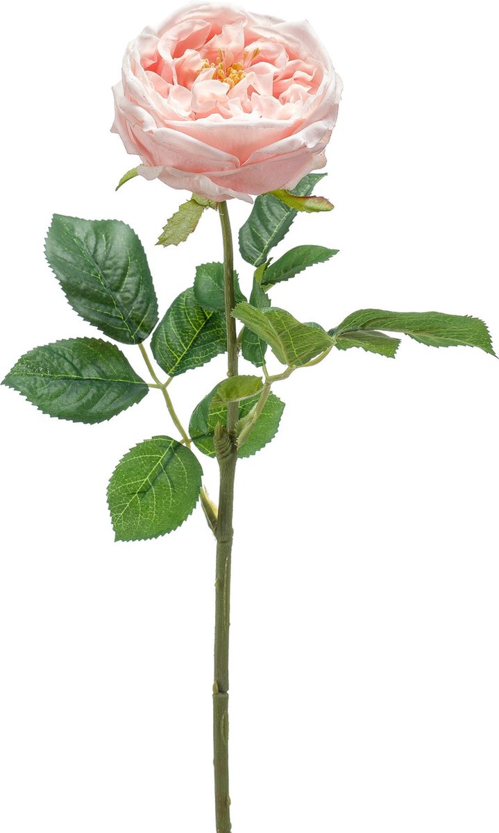 Emerald - Kunstbloem Roos Jenny RT 60cm peach - Kunstplant voor binnen