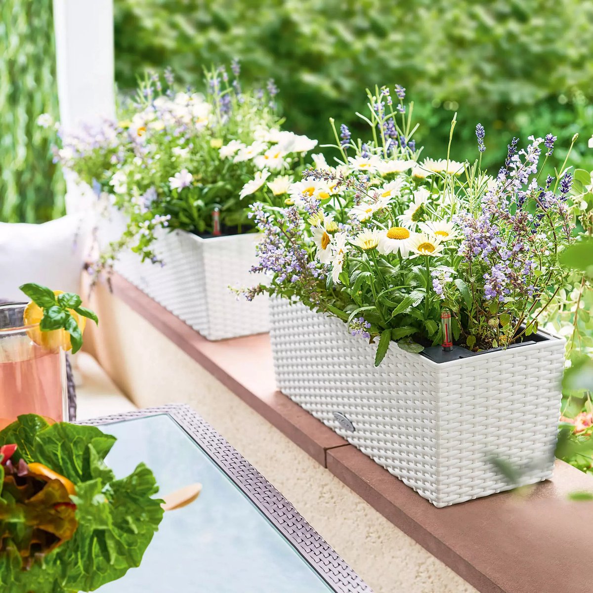 Lechuza Balconera Cottage 50 - Planter - with removable inner pot