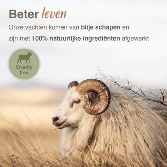 Peau de mouton Islande Wit - L/XL 100-120 cm - Tapis - 100% Réel