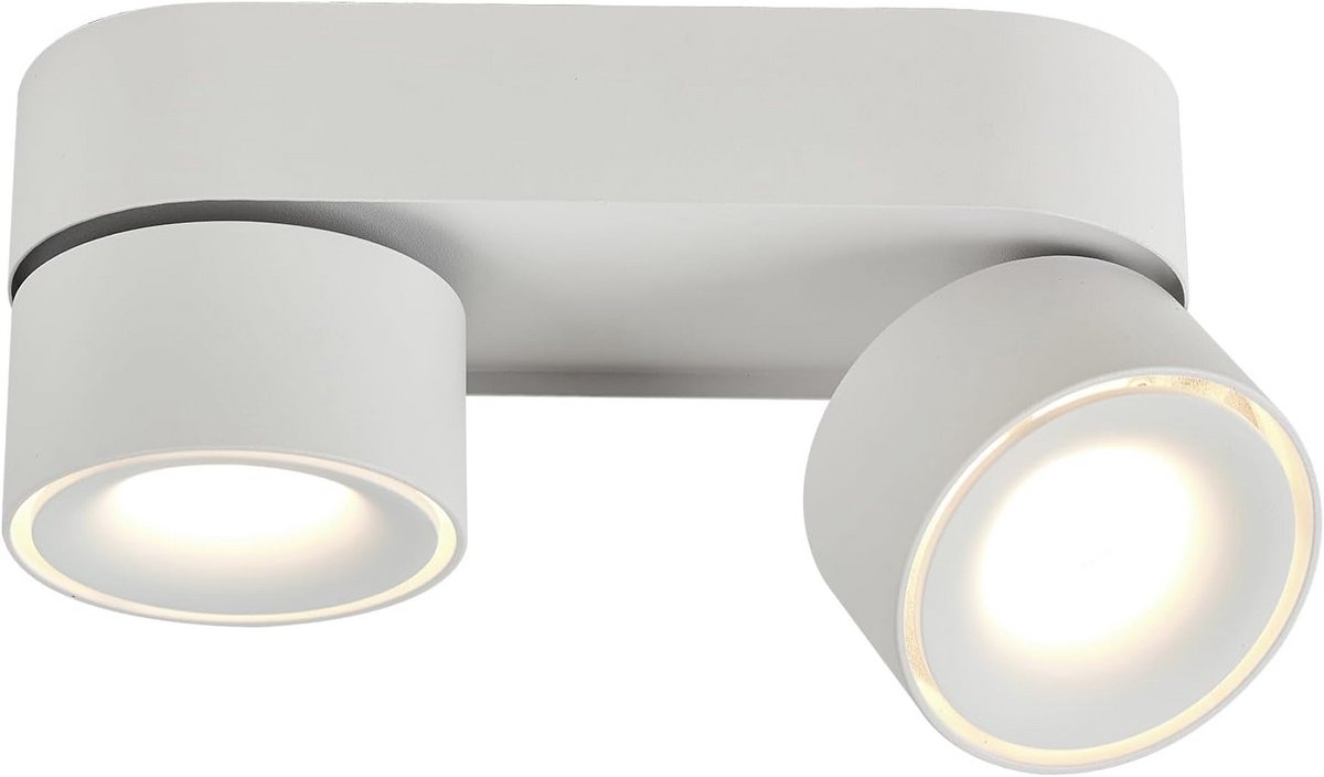 LED plafondlamp 2-lichts draai- en zwenkbaar - moderne opbouwlamp voor woonkamer, keuken en hal