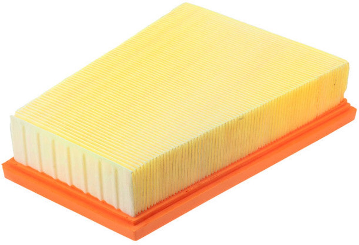 Luchtfilter OEM 165466515R