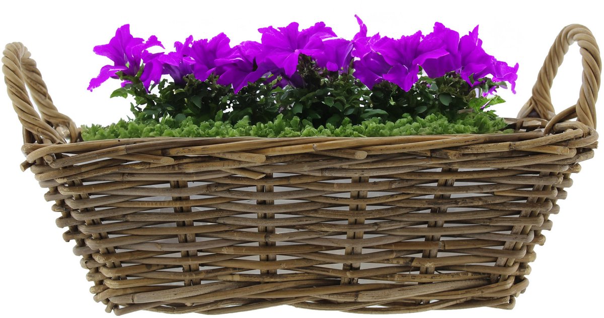Van der Leeden Mand met hengsels - bruin - 42 x 27 x 14 cm - rotan - gevlochten riet - mand - opbergen - opbergmand - bloemen/planten
