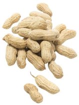 Doppinda's | Grondnoten | Pinda's in de dop | Vogelvoer | 10kg – - Diervoeding gratis thuisbezorgd