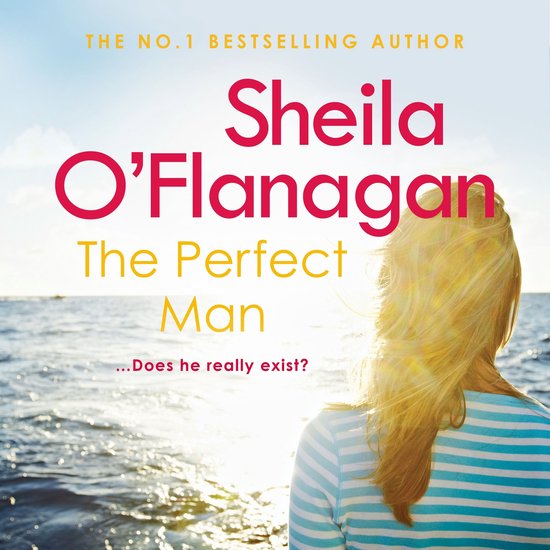 The Perfect Man - cover