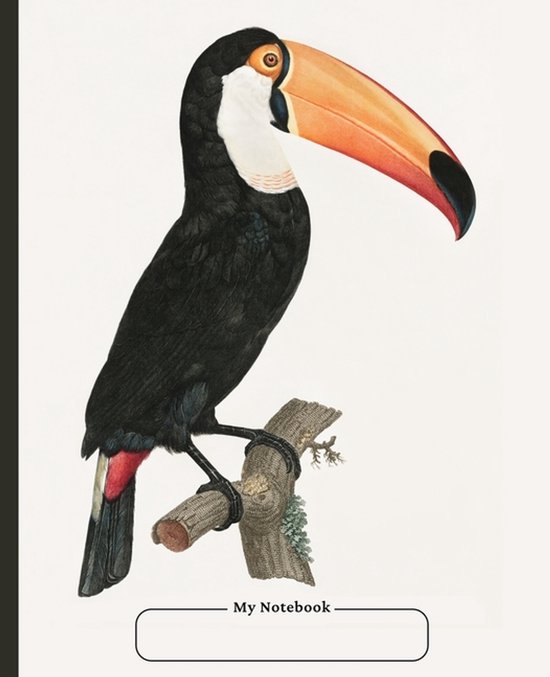 Cornell Notebook, college ruled, 100 pages, compact, with Ta ... - cover