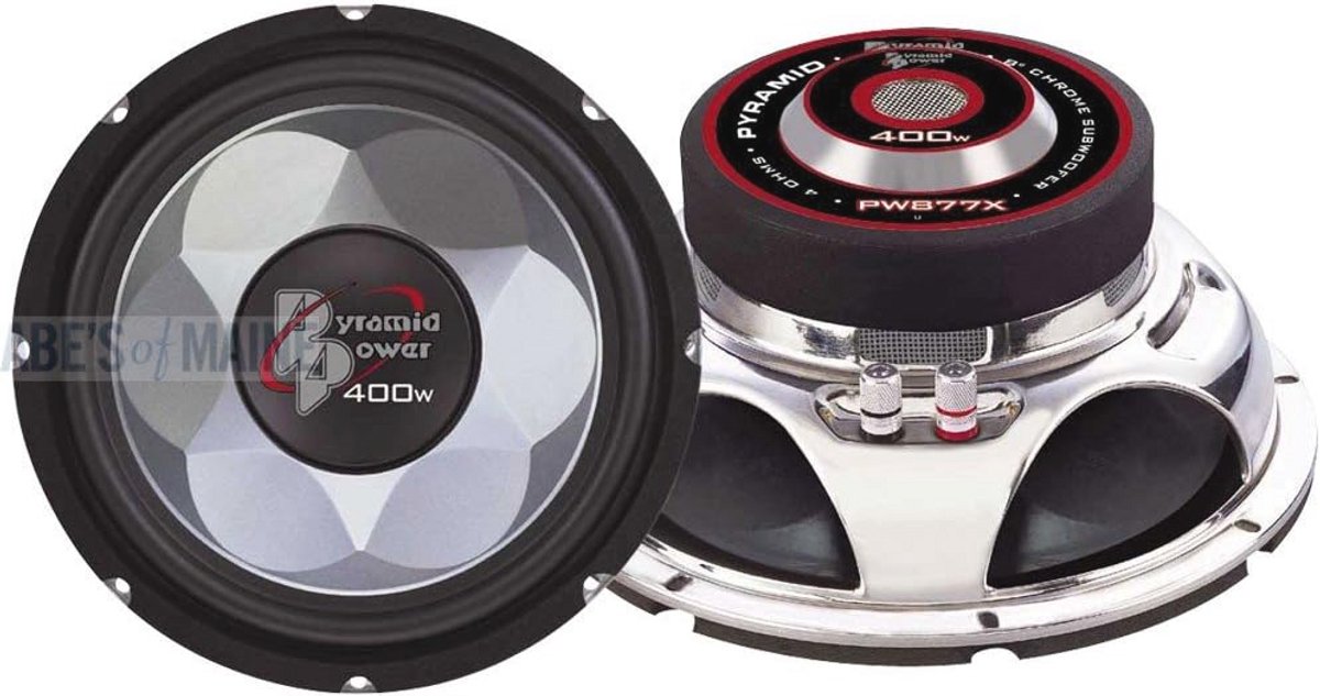 Krachtige 300W Subwoofer met 15,2 cm Kegel voor Diepe Bas