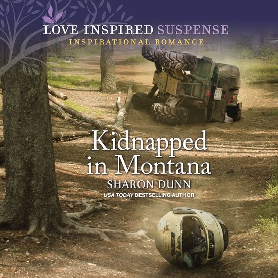 Kidnapped in Montana - cover
