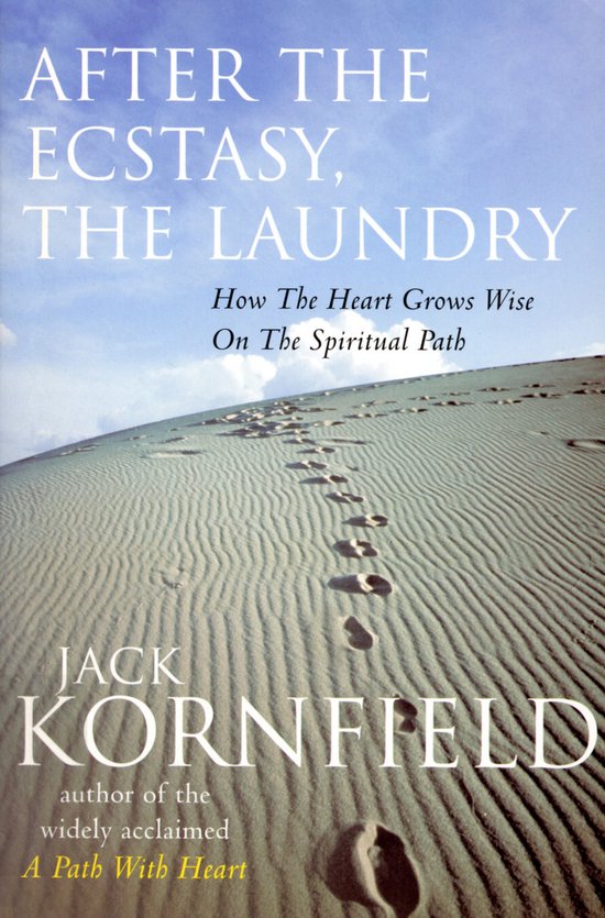 After The Ecstasy The Laundry