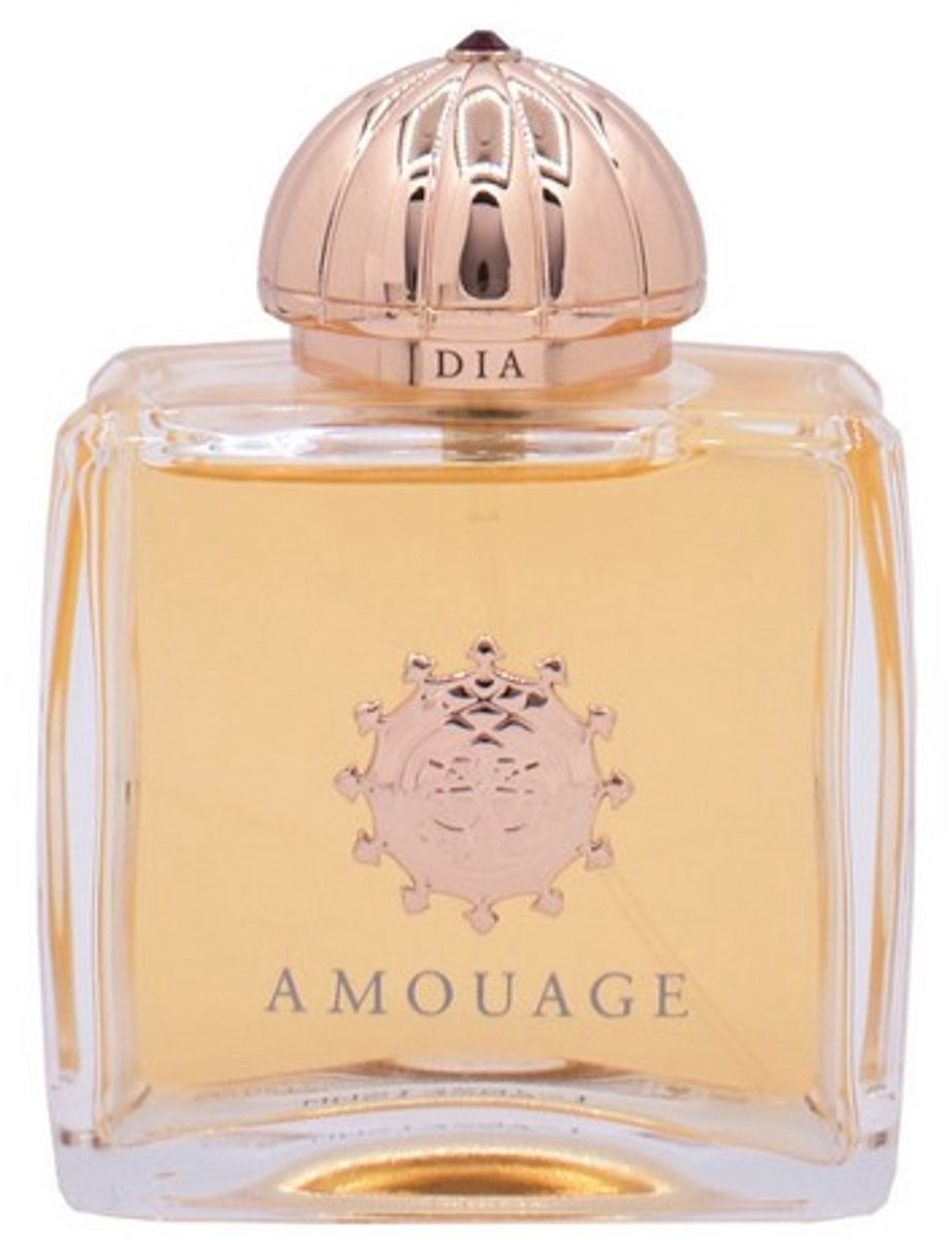 Amouage Dia Woman 100 ml - Eau de Parfum - Damesparfum | bol
