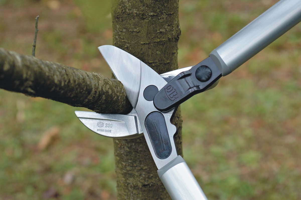 Felco 230 Aambeeld Takkenschaar- Ø 40 mm - lengte 800 mm